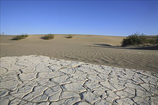 干燥,缝隙,沙丘,靠近,死亡谷国家公园,加利福尼亚,美国