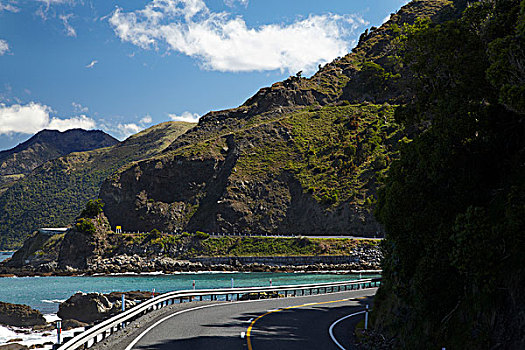 沿岸,道路,马尔伯勒,南岛,新西兰