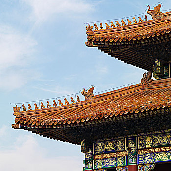 特写,屋顶,和谐,故宫,北京,中国