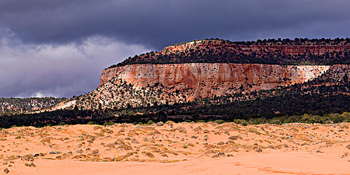 岩石构造,沙漠,州立公园,犹他,美国