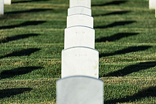 墓地,纪念建筑,老兵,军人,阿灵顿
