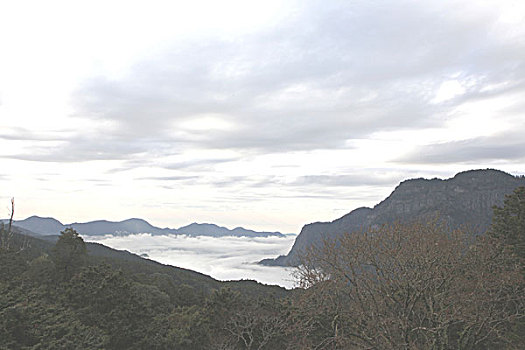 台湾阿里山