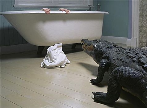 鱷魚,浴室