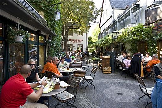 花园,餐馆,道路,莱茵河,黑森州,德国