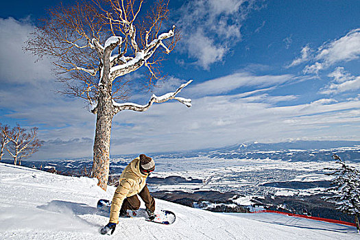 日本人,滑雪板玩家,转,福良野,胜地,北海道,日本