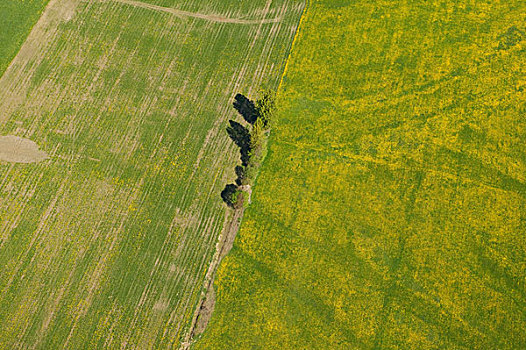 草,生手,俯视,农田,山谷,不列颠哥伦比亚省,加拿大