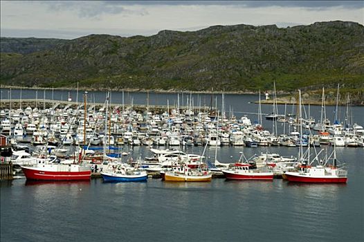 彩色,帆船,挪威