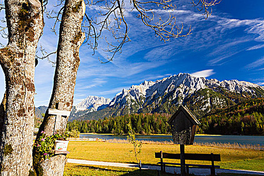十字架,枫树,树干,长椅,湖,山,奥波拜延,巴伐利亚,德国