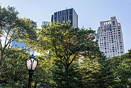 中央公园,秋天,摩天大楼,纽约,美国
