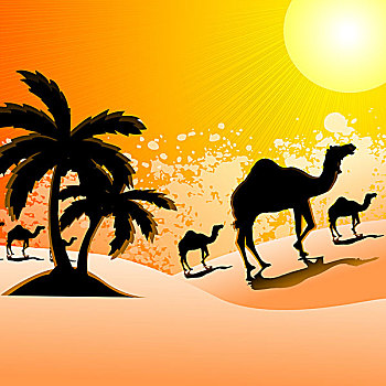 剪影,骆驼,走,荒漠景观,拉贾斯坦邦,印度