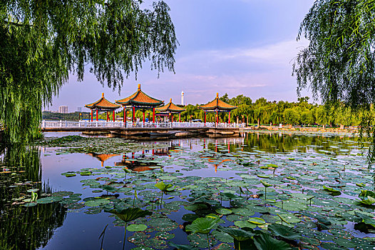 夏季的中国长春南湖公园风景