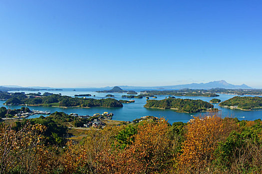 岛屿,熊本,日本