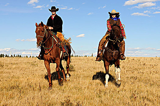 女牛仔,牛仔,骑,草原,萨斯喀彻温,加拿大