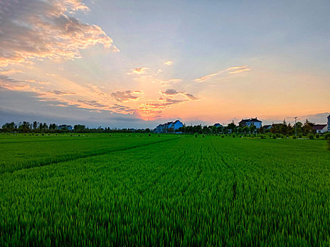 田野,乡野