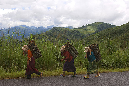 老挝,靠近,女人,木柴,走,街上,场所