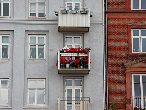 红花,窗台花箱,露台,建筑