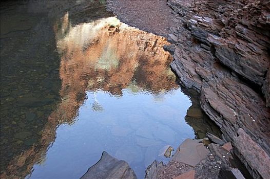 倒影,峡谷,卡瑞吉尼国家公园,区域,西澳大利亚