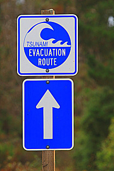 美国,加利福尼亚,海啸,疏散,路线,标识