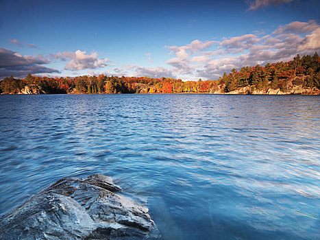 秋天风景,乔治湖,基拉尼省立公园,安大略省,省,加拿大,北美