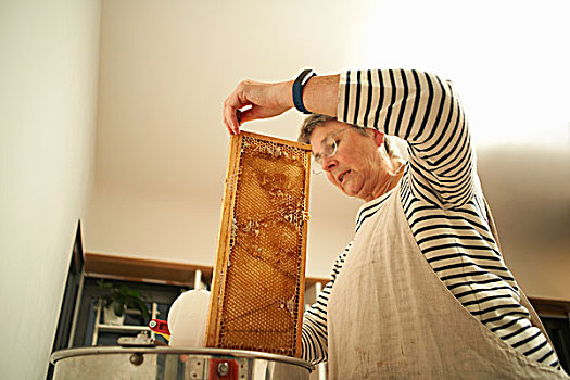 老年妇女,养蜂人,刮擦,蜂窝,厨房,炖锅