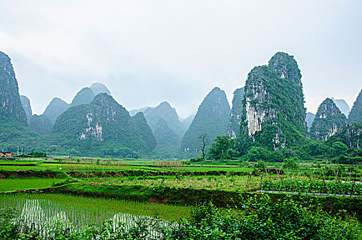 美丽的喀斯特地貌田园风光