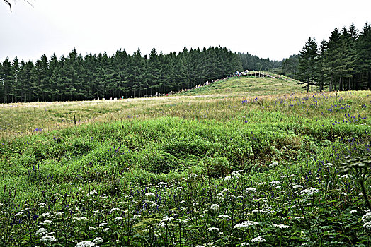 河北省石家庄市平山县驼梁风景区