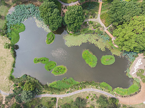 武汉,东湖,山风,景区,夏日,航拍,风光