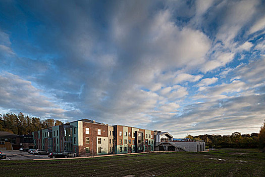 大学,商学院,外景,建筑,草坪,砖