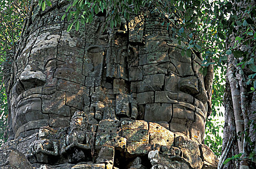 亚洲,柬埔寨,收获,树,追赶,巨大,石刻,塔普伦寺