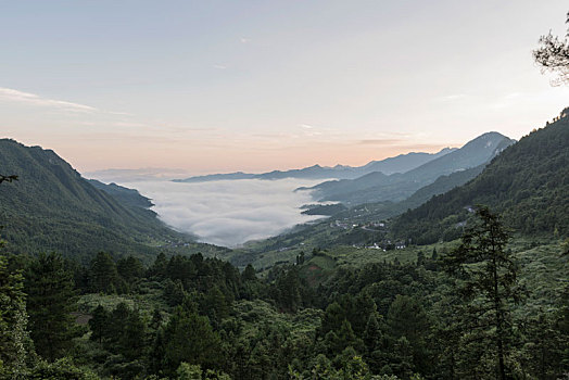 夏季,早晨,重庆,山区,山谷,中的,云海