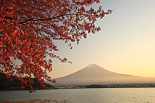 日本富士山红叶