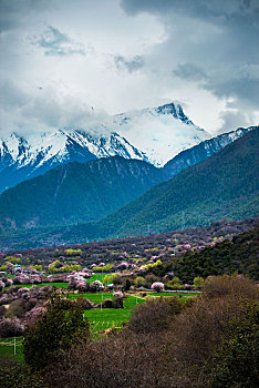 中国西藏自治区林芝桃花沟风景区