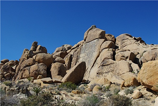 漂亮,石头,蓝天,约书亚树国家公园,加利福尼亚
