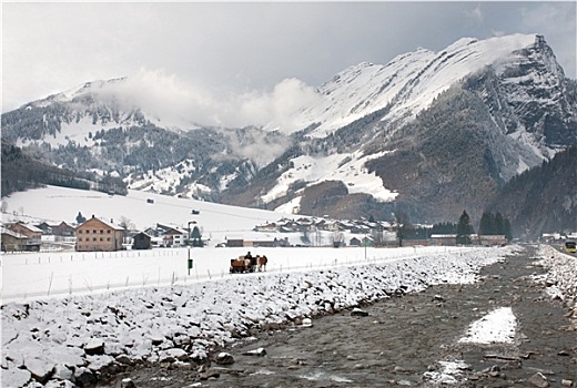 马,雪撬,场景,奥地利