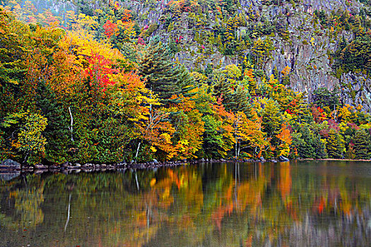 秋天,反射,湖,阿卡迪亚国家公园,缅因,美国