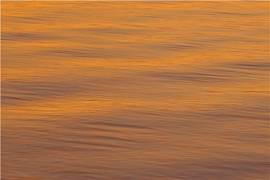尼科亚,海湾,日落