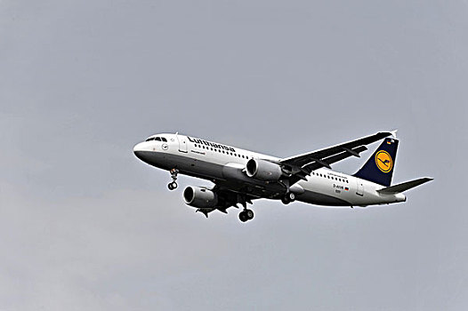汉莎航空公司,空中客车,降落,靠近,芬克威尔德,植物,汉堡市,德国,欧洲