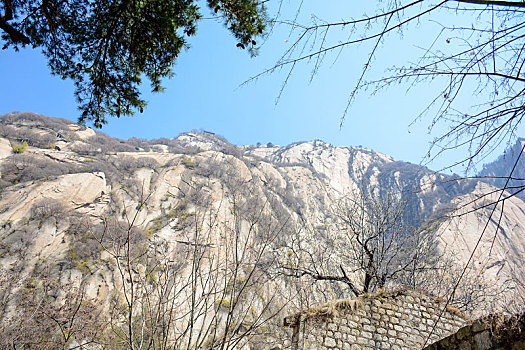 华山春日盛景