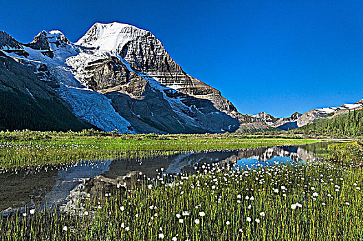 罗布森山,省立公园,不列颠哥伦比亚省,加拿大
