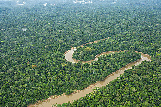 河,雨林,国家公园,亚马逊雨林,厄瓜多尔,南美