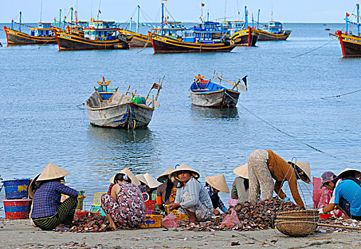 女人,鱼,市场,背影,彩色,木质,捕鱼,船,海滩,越南,亚洲