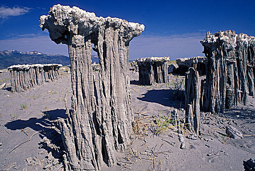 石灰华,岩石构造,风景,海滩,莫诺湖,莫诺湖石灰华州立保护区,加利福尼亚,美国