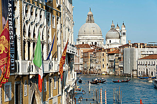 大运河,看,玛丽亚,行礼,威尼斯,意大利,欧洲