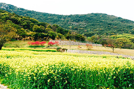 舟山大青山