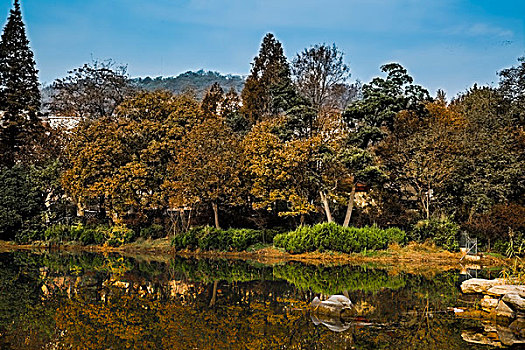 青岛深秋