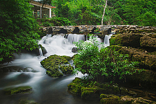 贵州茂兰国家自然保护区风光,森林与河流