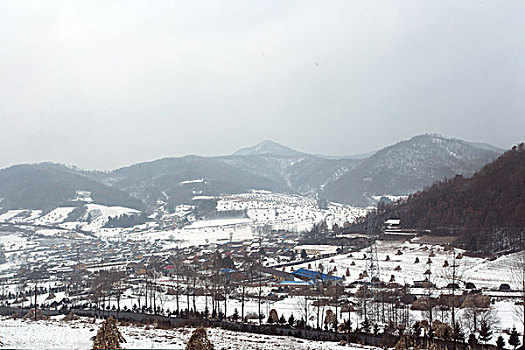 雪野,北方,東北,大雪,原野,土地,冬季,潔白,干凈,風景,村莊,農村