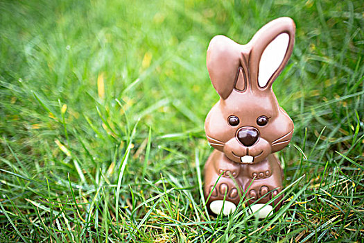 巧克力兔,坐,草,白巧克力,耳,脚