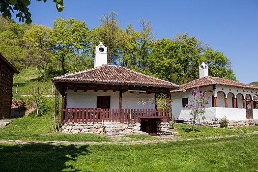 传统,房子,塞尔维亚