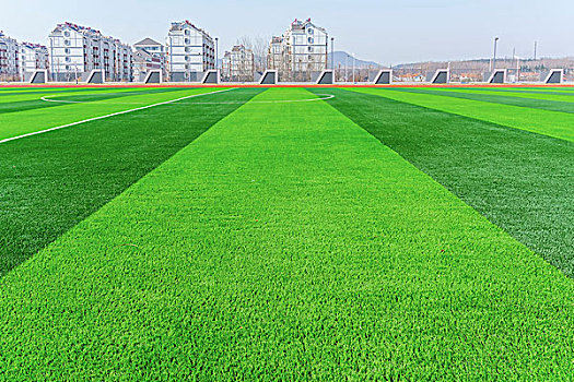 足球场,绿色,草坪
